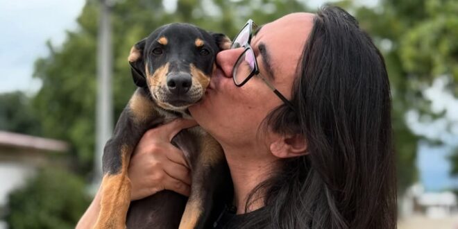 Quieren sacar del Concejo al único que defiende a los animales