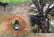 El insólito ritual al que sometieron a una joven tras ser alcanzada por un rayo