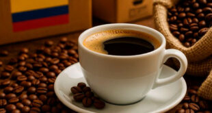 Petro le ganó el pulso a Trump: Eliminan arancel del café y Colombia exportará nuevamente a tarifa 0%